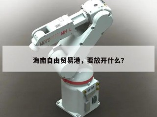 海南自由贸易港，要放开什么？