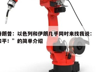 特朗普：以色列和伊朗几乎同时来找我说：“和平！”的简单介绍