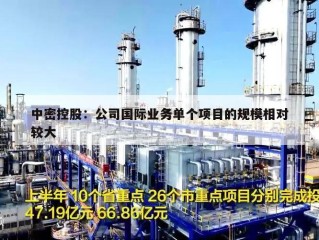 中密控股：公司国际业务单个项目的规模相对较大